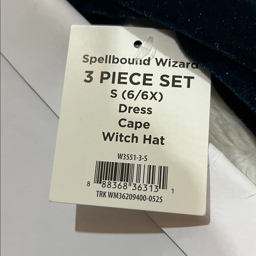 Spellbound Wizard Costume for Children, Size S (6/6X) by Way to Celebrate
